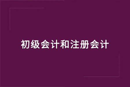 初级会计和注册会计