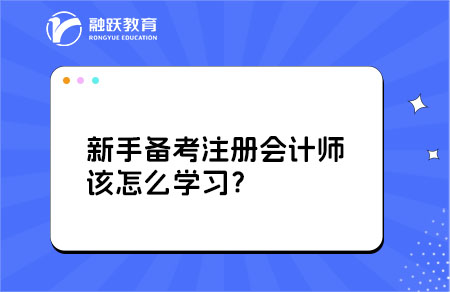 新手注会备考